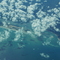 Rio Real - Mangue Sêco - BA - BR