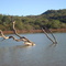 PAISAGEM DO AÇUDE SOIZÃO