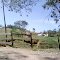 Sitio