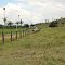 Fazenda Recreio 1