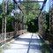 Old Abandoned Bridge