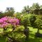 Jardinzinho Japonês na Liberdade, São Luis do Maranhão - Brasil