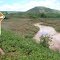AÇUDE EM POVOADO GAMELEIRA DOS RODRIGUES - PICOS PIAUÍ.