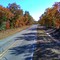 Fall colors in Pender County