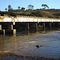 Ponte sobre o Rio Sapucaí - BR 491