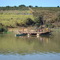 Balsa da Cachoeira - Rio Sapucaí