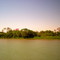 6- Margin of Sao Francisco River: Trees, Colours, Brasil
