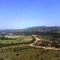 Palmares I