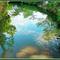 REFLEXO DO CÉU