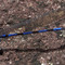 Argia sp. (Odonata, Coenagrionidae) uma libélula, Chapada Diamantina, Mucugê, Bahia, Brasil