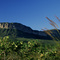 Serra Sao Pedro au Sincora