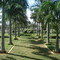 Jardim Maria Amalia