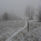 Trail to Big Bald