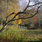 Fall Garden