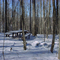 Snow Picnic