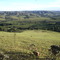 Paisagem a caminho do Ribeirão da Estiva, Pratinha - MG