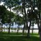 Parque Barigui