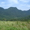 Vista da Serra do Mar ao longo da Mogi-Bertioga / Mountains along the Mogi-Bertioga roadway