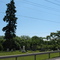Chestnut Lawn Cemetery