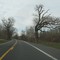 Interesting 9W tree