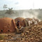 90.製材所の廃材を利用した炭焼き　Charcoal making by using scrap wood from a sawmill