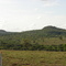 Morrinhos