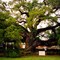 USA, l'un des plus vieux chêne de la Louisiane à Francisville