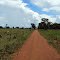 Chegada da Fazenda Gameleira