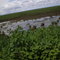 campos de São Bento(JOSÉ PADILHA) padilhacelular1@hotmail.com