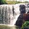 * Cachoeira do César