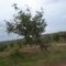 Paisagem.
