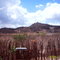 Sítio Uri - Salgueiro - PE