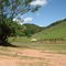 Fazenda as margens da BR120 - Trecho São Pedro - José Raydan