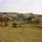 Bairro Floresta