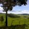 Zona Rural de Piranguinho-MG