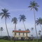 Casa centenária da ponta do Cocal.
