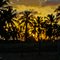Por do Sol no Cocal