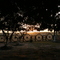 Sunset at Marajo
