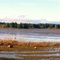 Fern Ridge drained dry for flood control