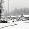 Morning Snow Falling on Esprit Court