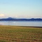 Richardson's Park overlooking Fern Ridge Reservoir, Junction City, Oregon.