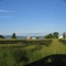 Farmland nestled against Fern Ridge Reservoir, Elmira, Oregon.