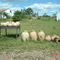 Artesanato do sertão