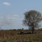 Fazenda duplo P - Usina Santana