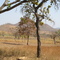 serra do bezerro