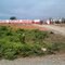 BR. 407 Fazenda Santo Amaro.