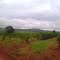 Cerrado ao fundo Igrejinha