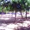 Clube Derminas PlayGround