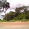 Parque da Matinha
