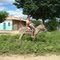 Garoto